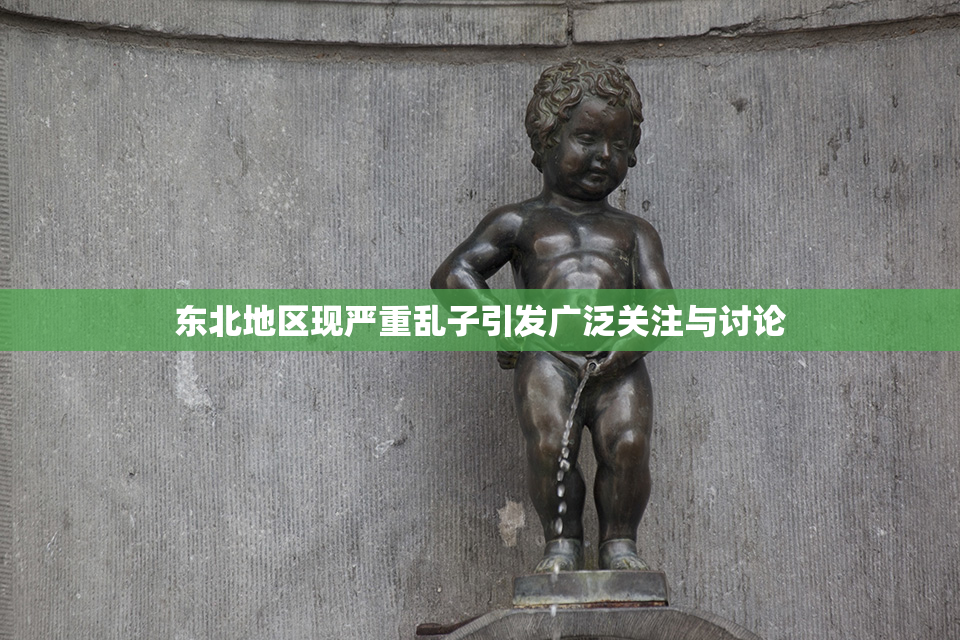 东北地区现严重乱子引发广泛关注与讨论
