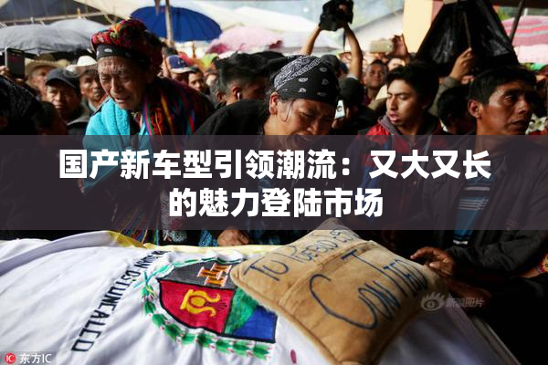 国产新车型引领潮流：又大又长的魅力登陆市场