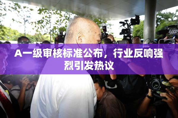 A一级审核标准公布，行业反响强烈引发热议