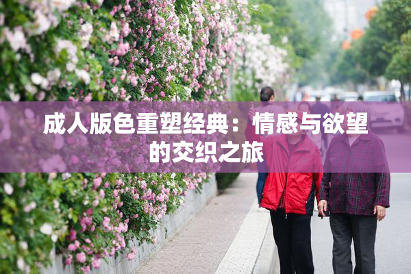 成人版色重塑经典：情感与欲望的交织之旅