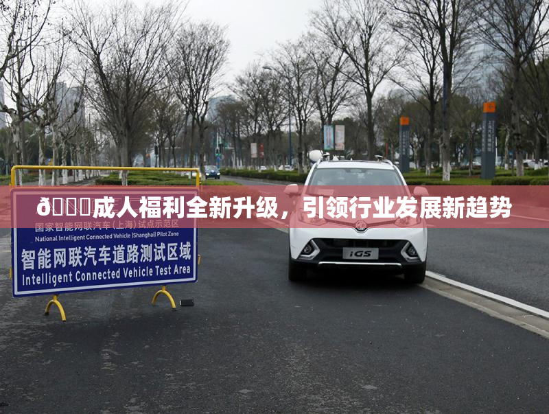 🔞成人福利全新升级，引领行业发展新趋势