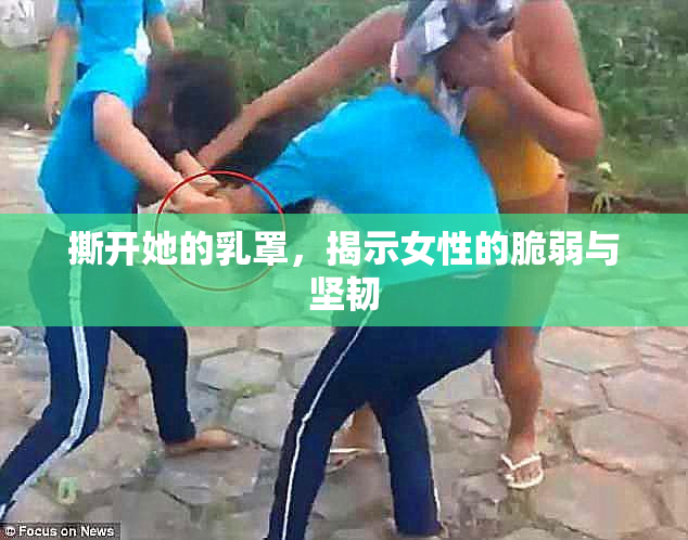 撕开她的乳罩，揭示女性的脆弱与坚韧