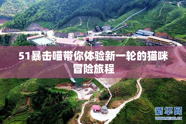 51暴击喵带你体验新一轮的猫咪冒险旅程