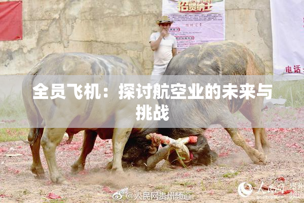 全员飞机：探讨航空业的未来与挑战