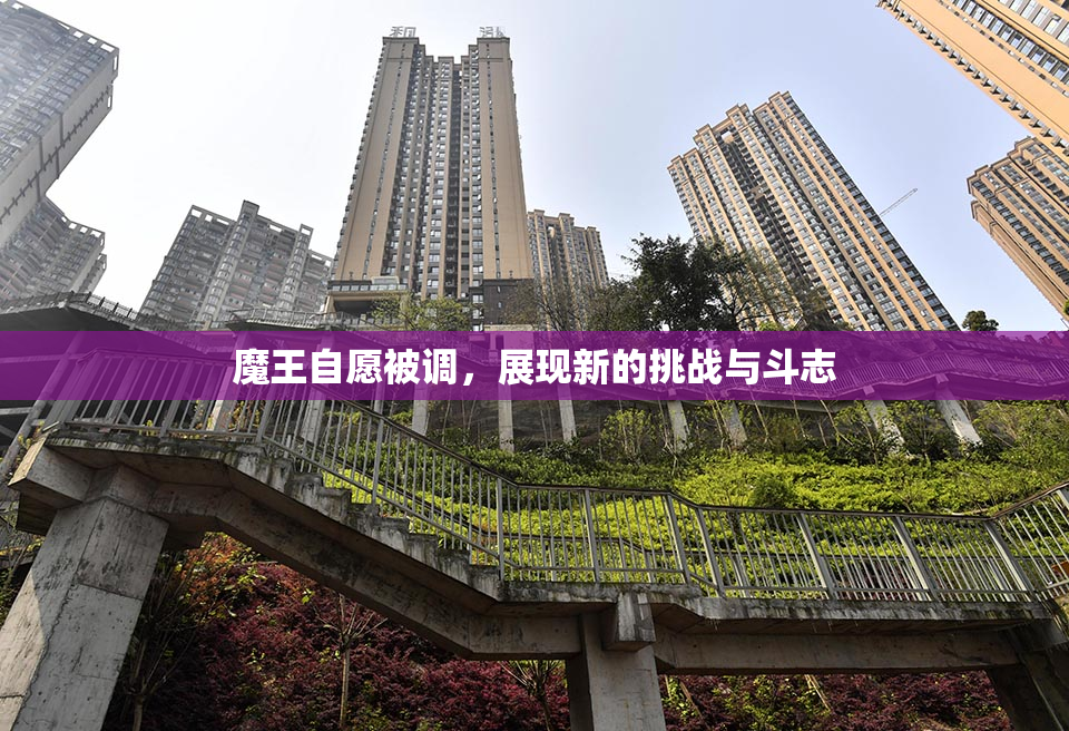 魔王自愿被调，展现新的挑战与斗志