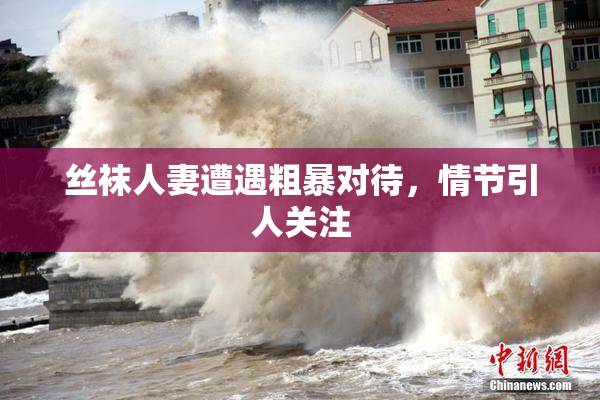 丝袜人妻遭遇粗暴对待，情节引人关注