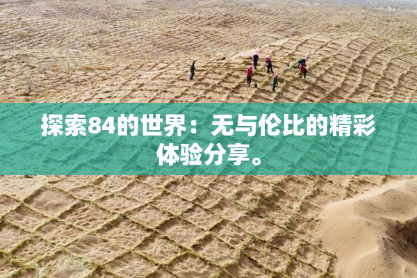 探索84的世界：无与伦比的精彩体验分享。