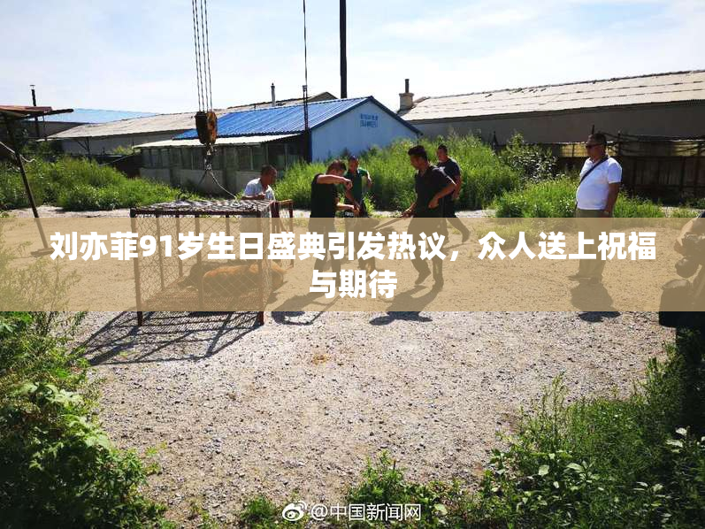 刘亦菲91岁生日盛典引发热议，众人送上祝福与期待