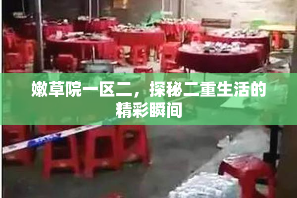 嫩草院一区二，探秘二重生活的精彩瞬间