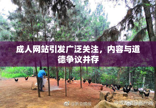 成人网站引发广泛关注，内容与道德争议并存