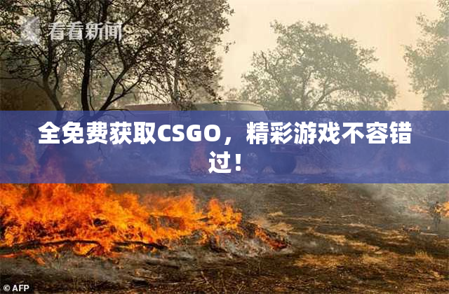 全免费获取CSGO，精彩游戏不容错过！