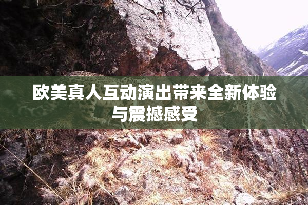 欧美真人互动演出带来全新体验与震撼感受