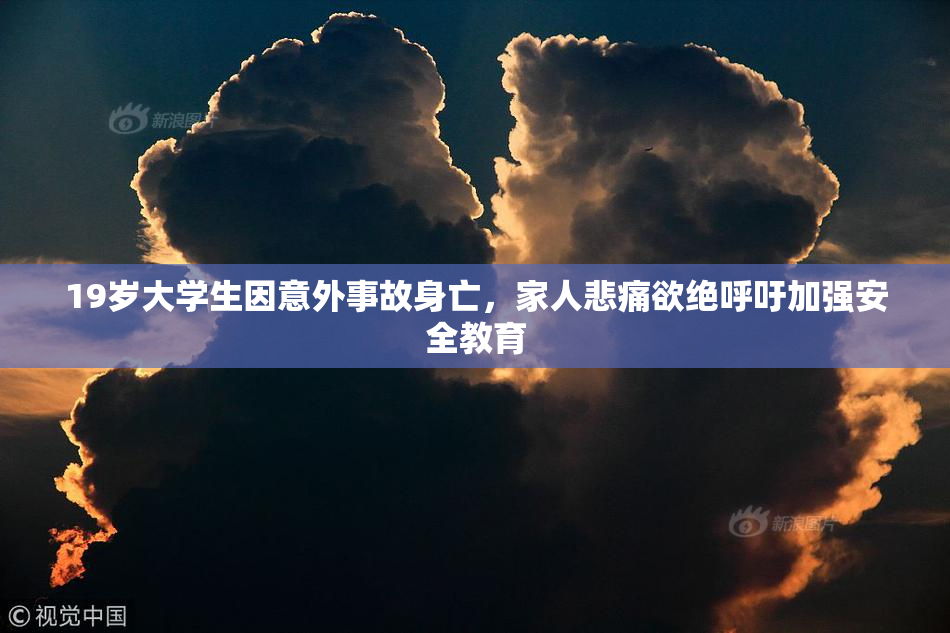 19岁大学生因意外事故身亡，家人悲痛欲绝呼吁加强安全教育