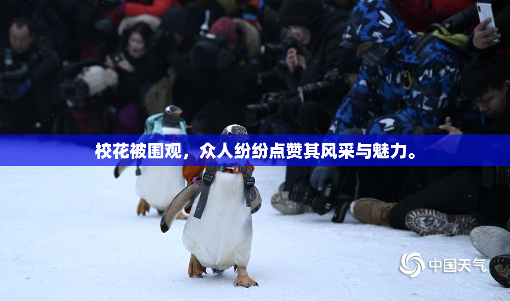 校花被围观，众人纷纷点赞其风采与魅力。