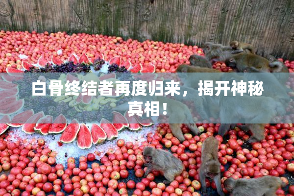 白骨终结者再度归来，揭开神秘真相！