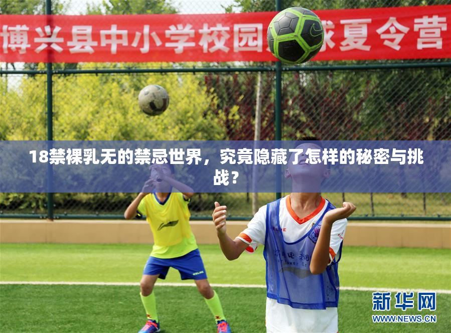 18禁裸乳无的禁忌世界，究竟隐藏了怎样的秘密与挑战？