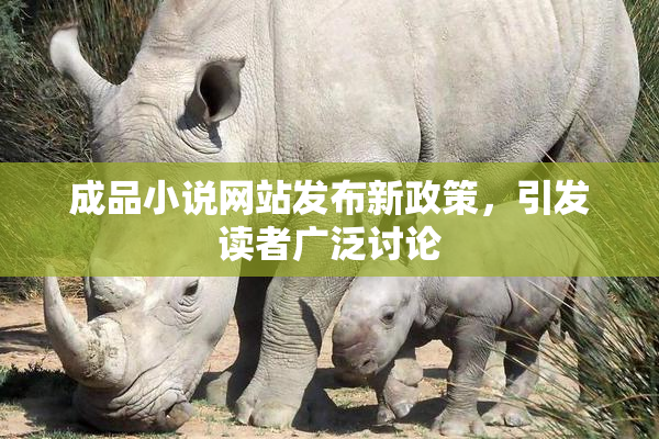 成品小说网站发布新政策，引发读者广泛讨论