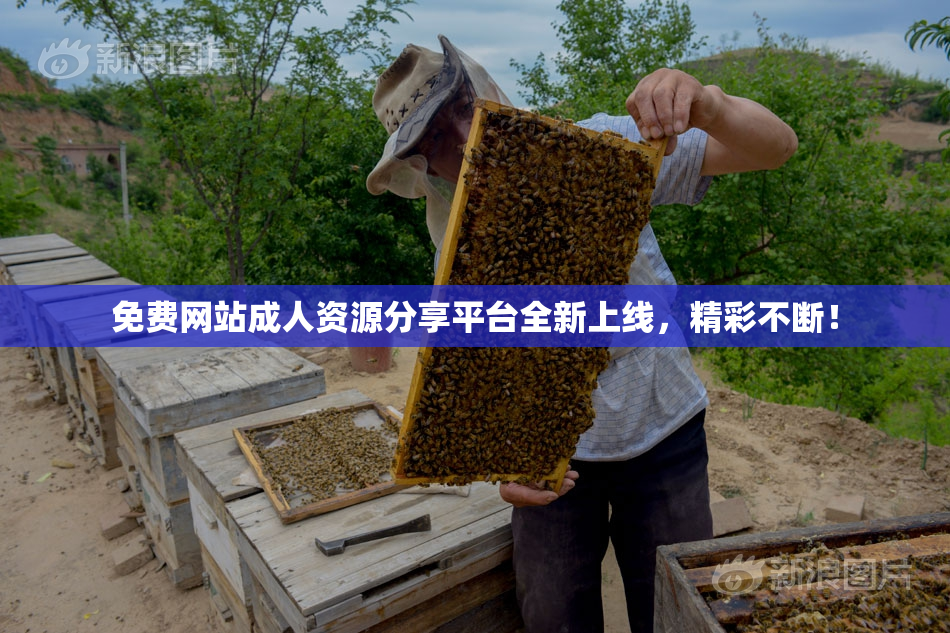 免费网站成人资源分享平台全新上线，精彩不断！