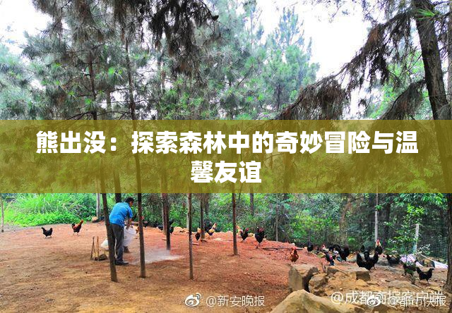 熊出没：探索森林中的奇妙冒险与温馨友谊