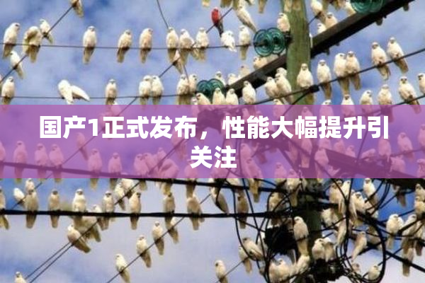 国产1正式发布，性能大幅提升引关注