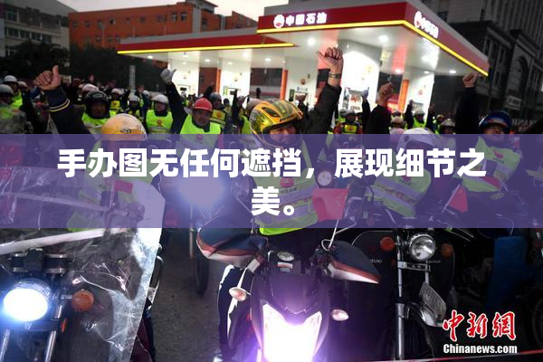手办图无任何遮挡，展现细节之美。