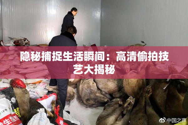 隐秘捕捉生活瞬间：高清偷拍技艺大揭秘