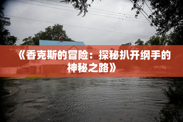 《香克斯的冒险：探秘扒开纲手的神秘之路》