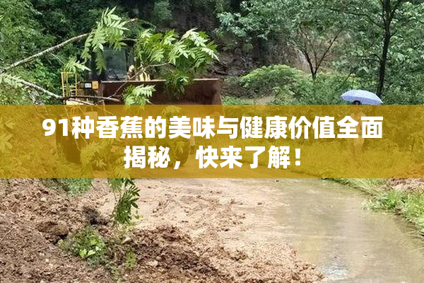 91种香蕉的美味与健康价值全面揭秘，快来了解！