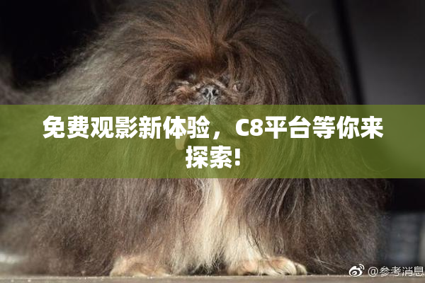免费观影新体验，C8平台等你来探索!