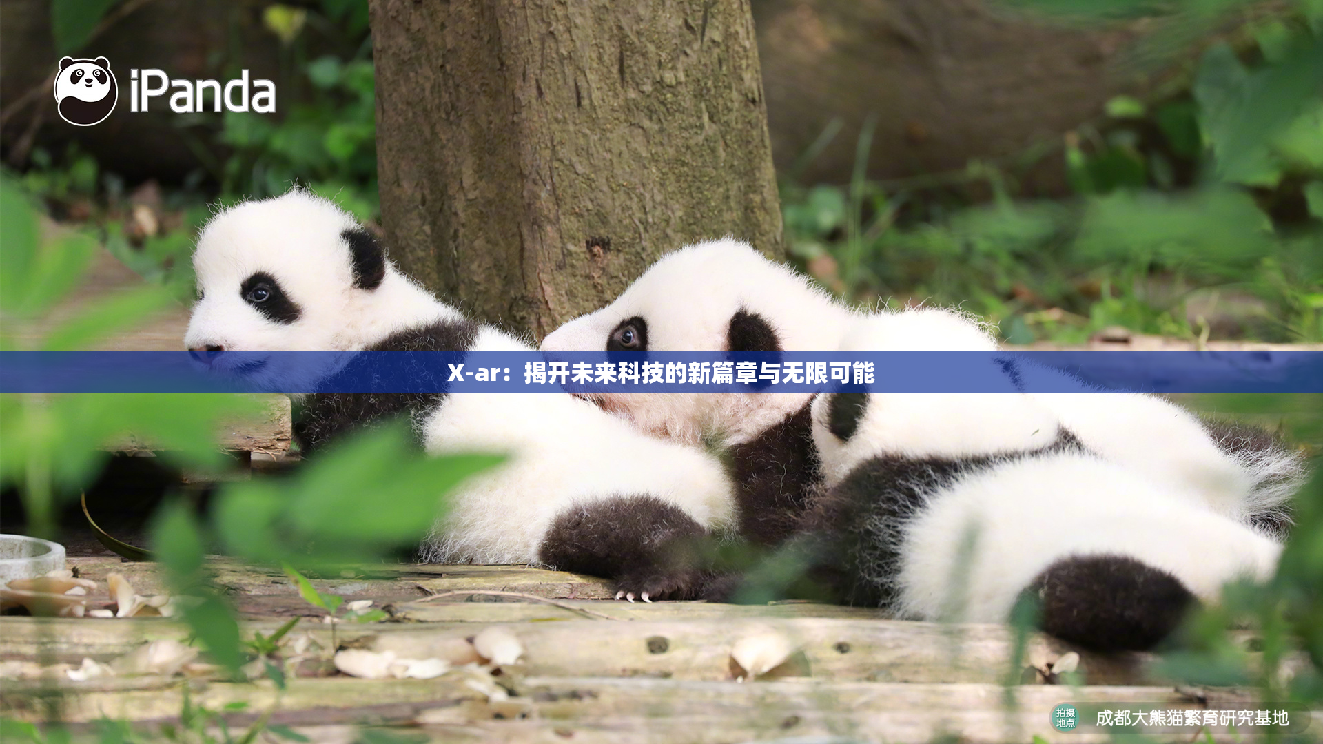 X-ar：揭开未来科技的新篇章与无限可能