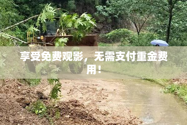 享受免费观影，无需支付重金费用！