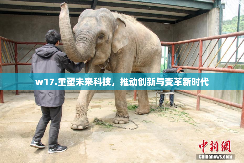 w17.重塑未来科技，推动创新与变革新时代