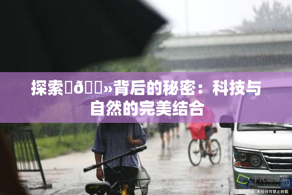 探索‌🐻背后的秘密：科技与自然的完美结合