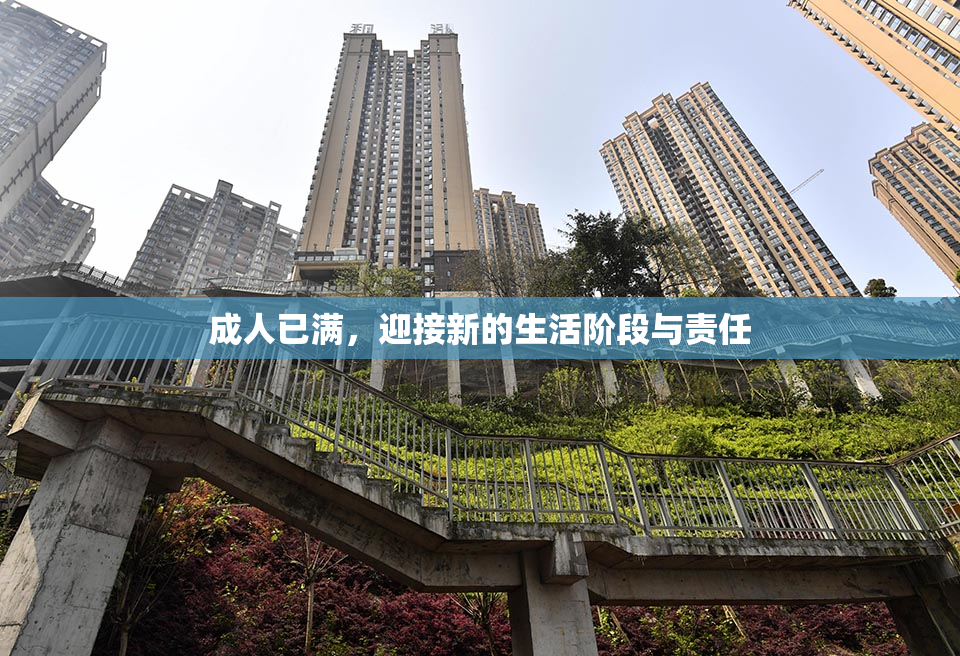 成人已满，迎接新的生活阶段与责任