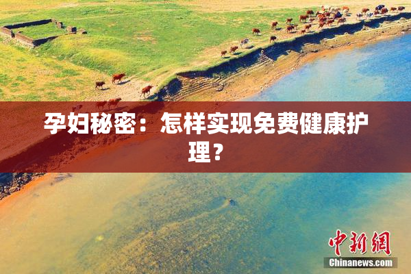 孕妇秘密：怎样实现免费健康护理？