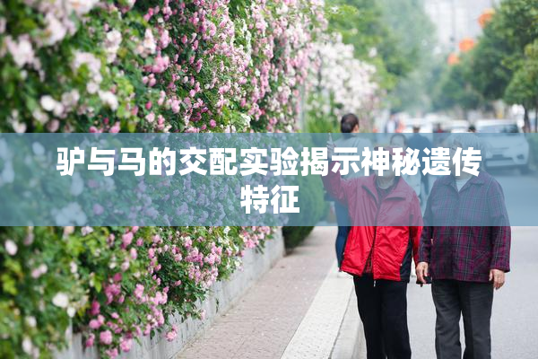 驴与马的交配实验揭示神秘遗传特征