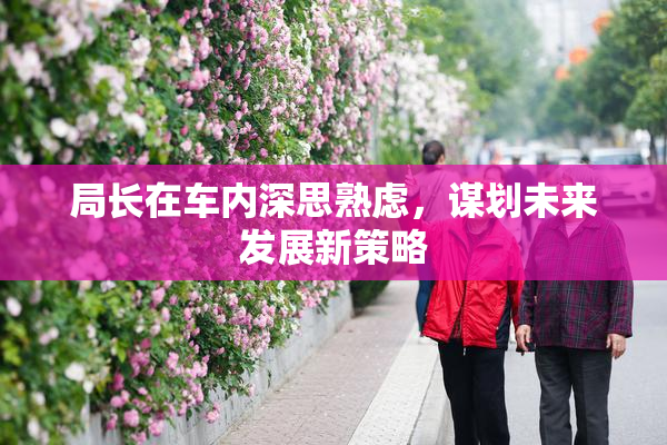 局长在车内深思熟虑，谋划未来发展新策略