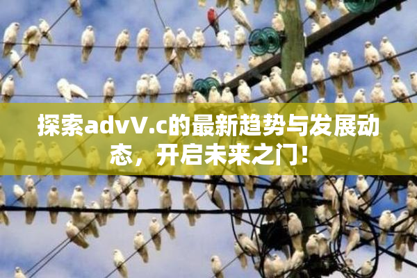 探索advV.c的最新趋势与发展动态，开启未来之门！