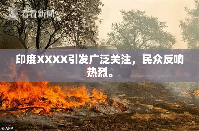 印度XXXX引发广泛关注，民众反响热烈。