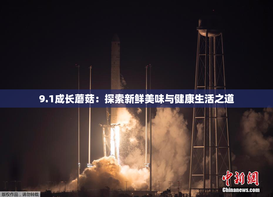 9.1成长蘑菇：探索新鲜美味与健康生活之道