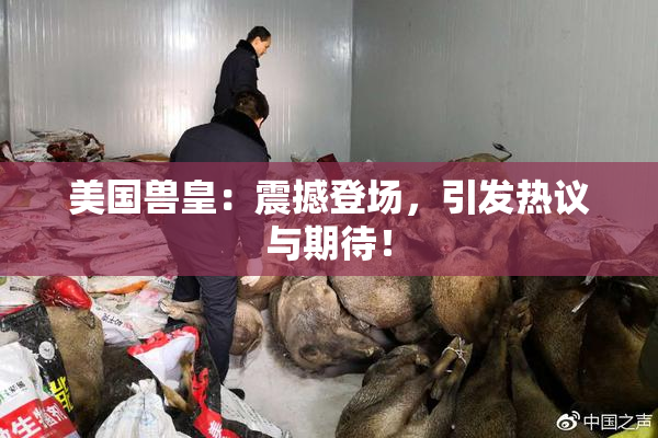 美国兽皇：震撼登场，引发热议与期待！