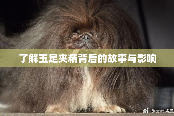 了解玉足夹精背后的故事与影响
