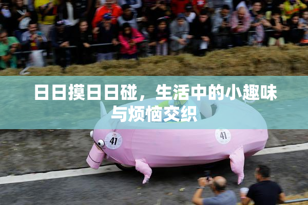 日日摸日日碰，生活中的小趣味与烦恼交织