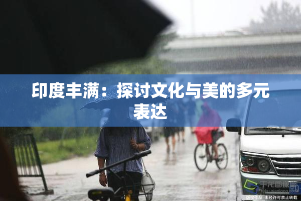 印度丰满：探讨文化与美的多元表达