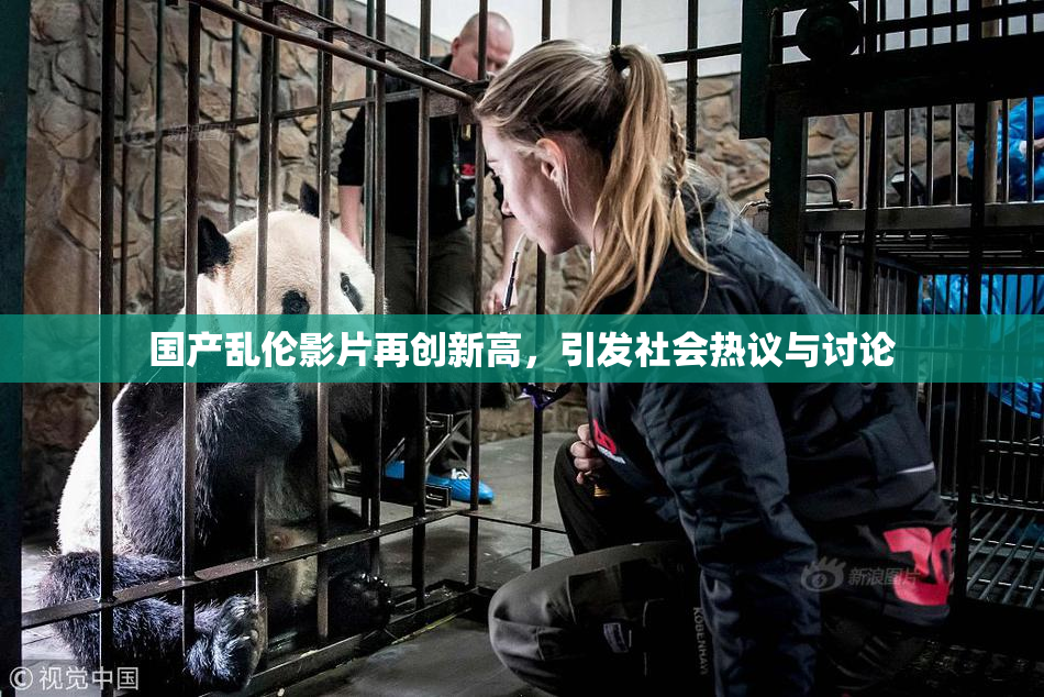 国产乱伦影片再创新高，引发社会热议与讨论