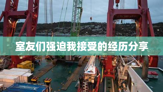 室友们强迫我接受的经历分享
