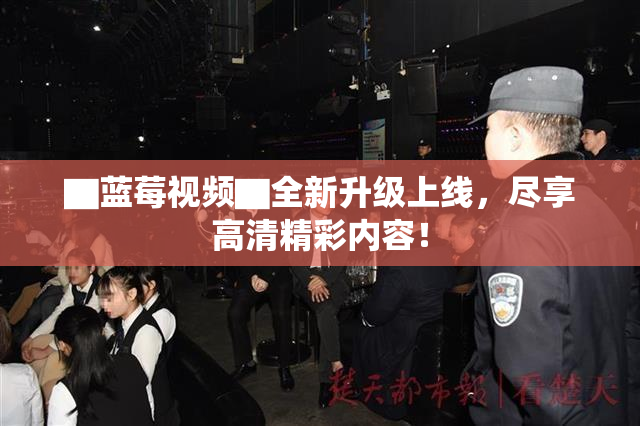 ▇蓝莓视频▇全新升级上线，尽享高清精彩内容！