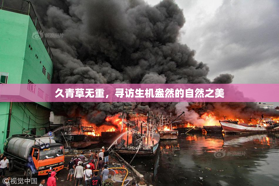 久青草无重，寻访生机盎然的自然之美