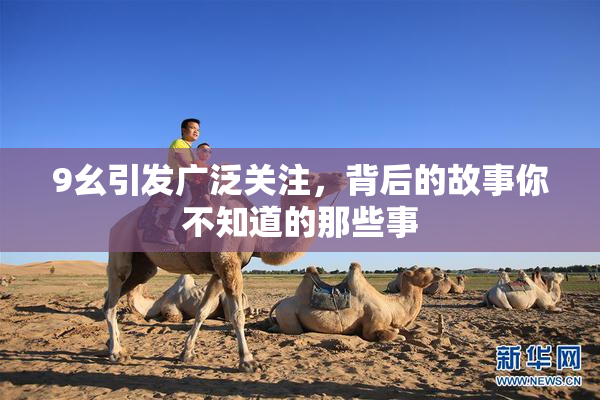 9幺引发广泛关注，背后的故事你不知道的那些事