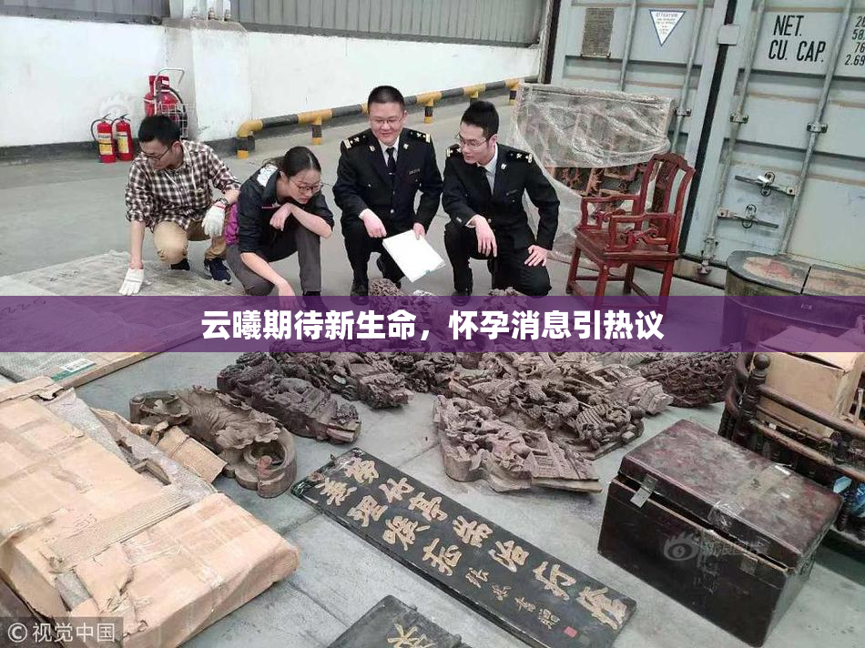 云曦期待新生命，怀孕消息引热议